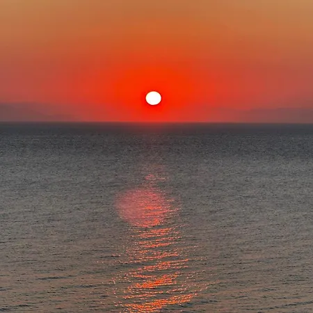 Sunrise * Порос